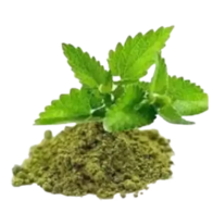 Tulsi-Leaf.png